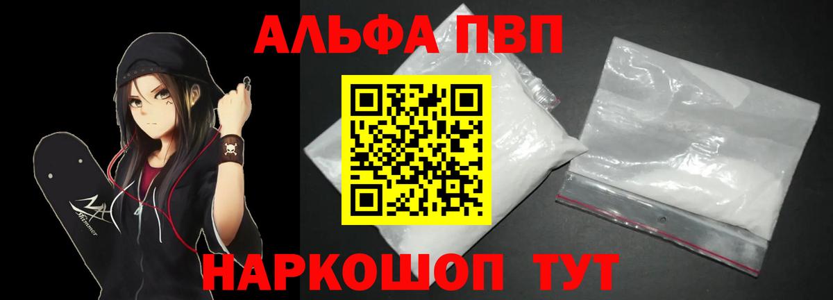 Альфа ПВП СК КРИС Урус-Мартан