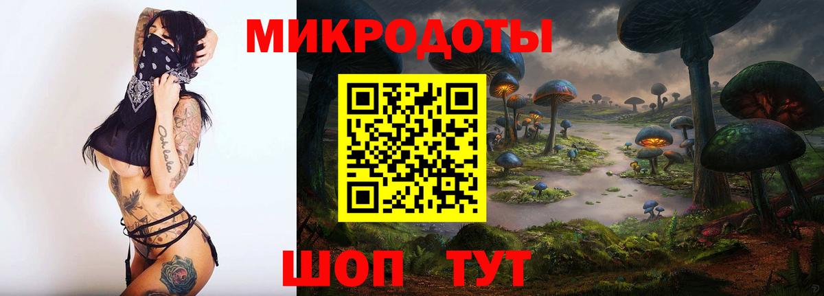 Галлюциногенные грибы Psilocybe  Вход с VPN  Урус-Мартан  Псилоцибиновые грибы Psilocybe 